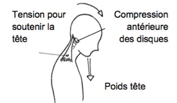 illustration flexion du cou